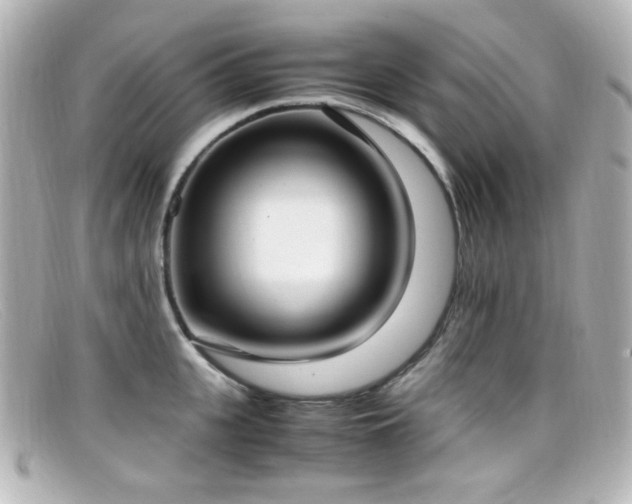X0000099400951200805081531