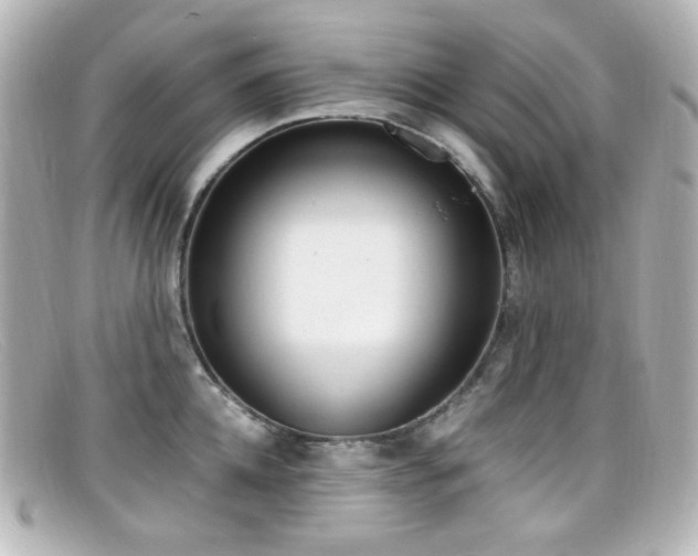 X0000099400952200805081531