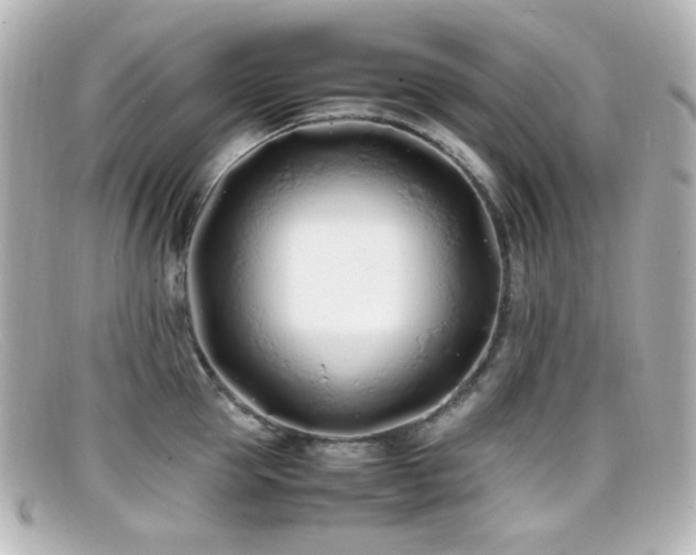 X0000099400953200805081531