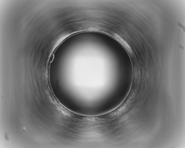 X0000099400956200805081531