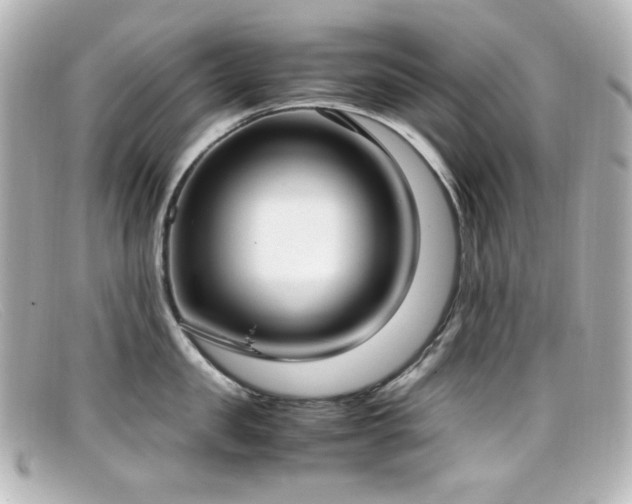 X0000099400957200805081531