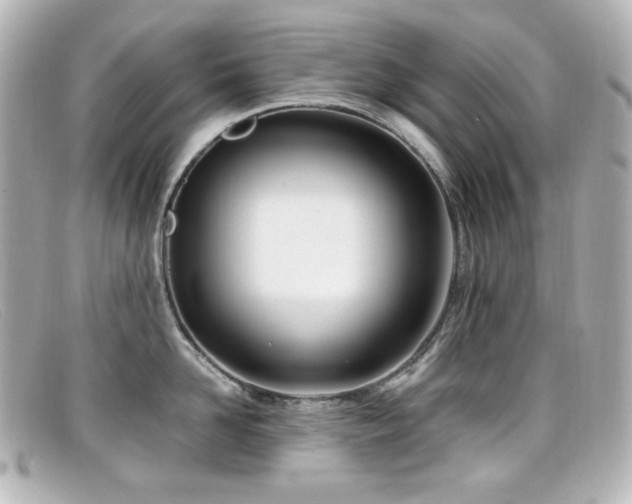 X0000099400958200805081531