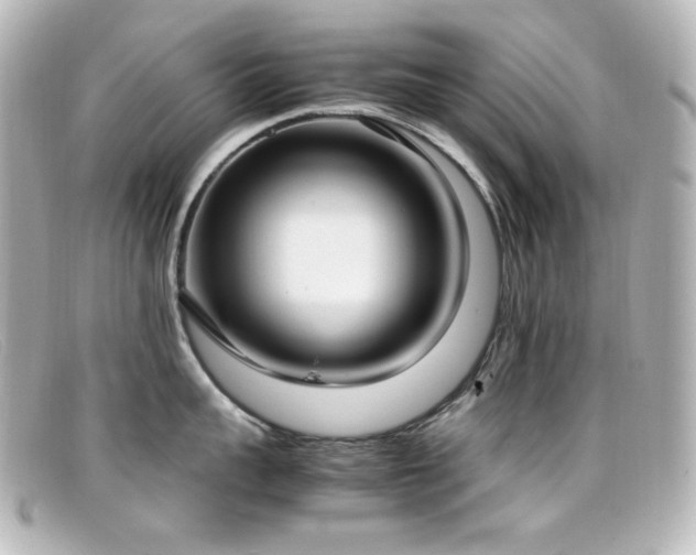 X0000099400959200805081531