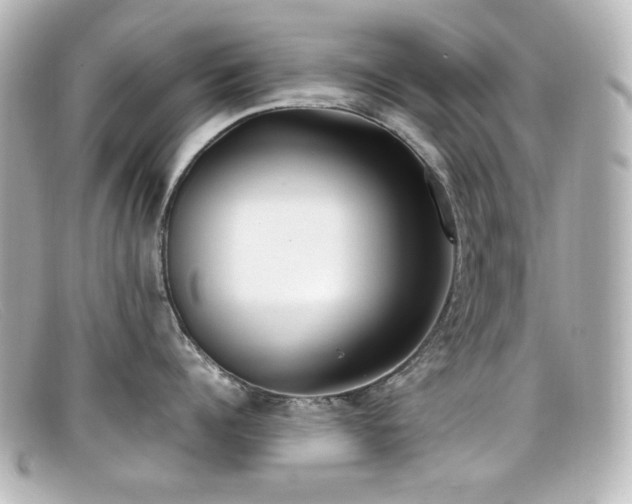 X0000099400960200805081531
