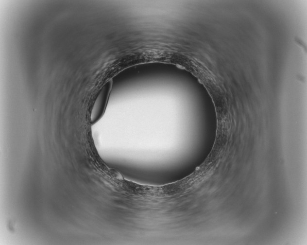 X0000099400961200805081531
