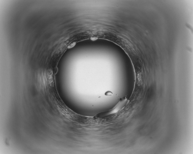 X0000099400963200805081531