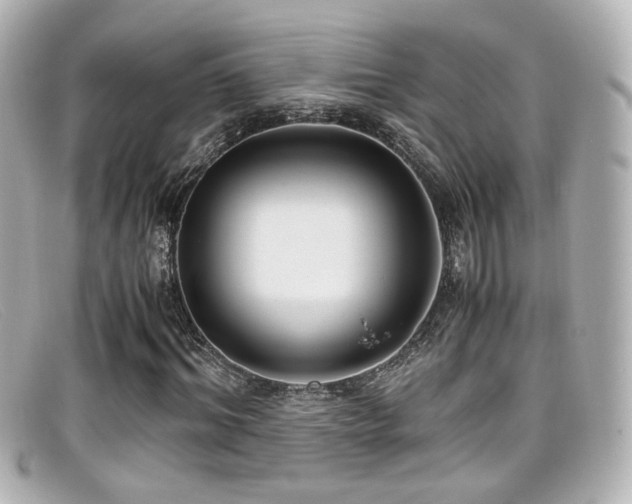 X0000099400964200805081530
