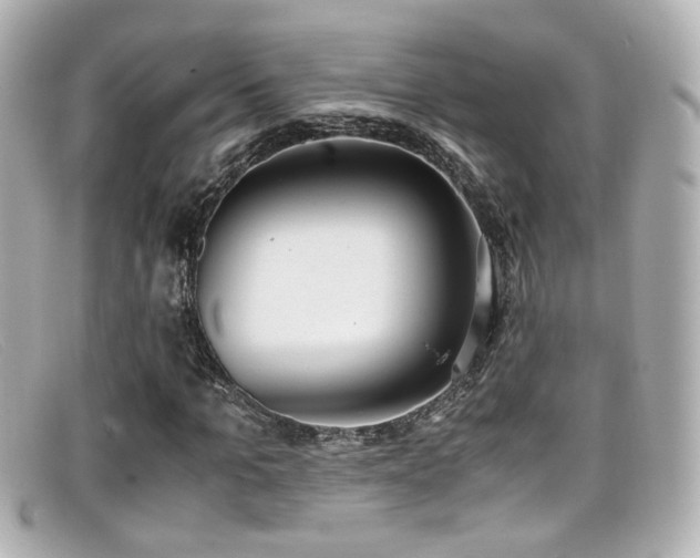 X0000099400965200805081530