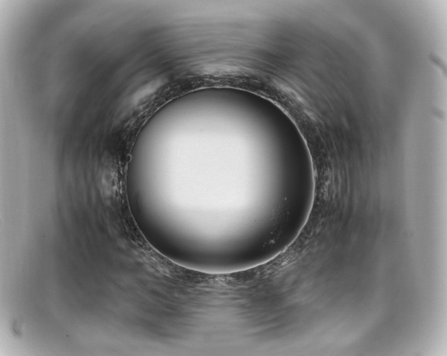 X0000099400966200805081530
