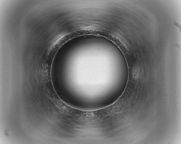 X0000099400968200805081530