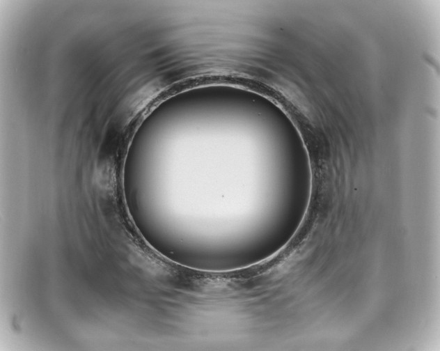 X0000099400969200805081530