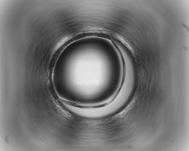 X0000099400970200805081530