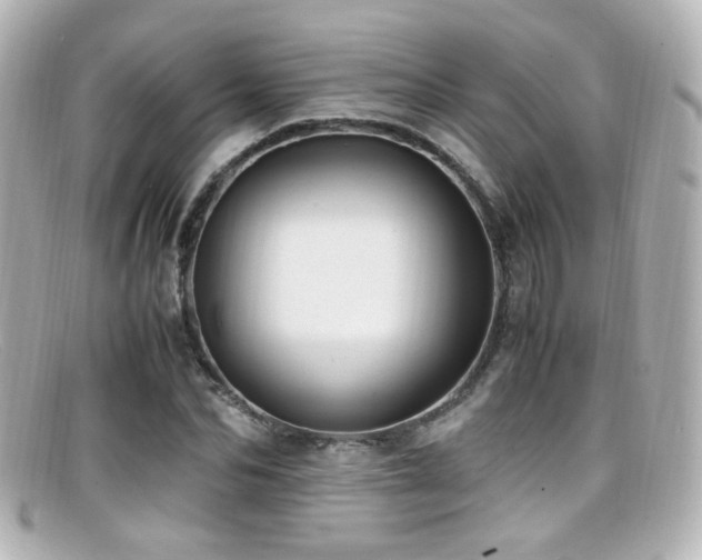 X0000099400974200805081530