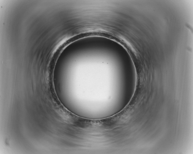 X0000099400975200805081530