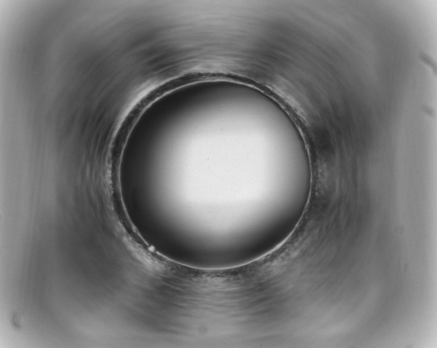 X0000099400976200805081530