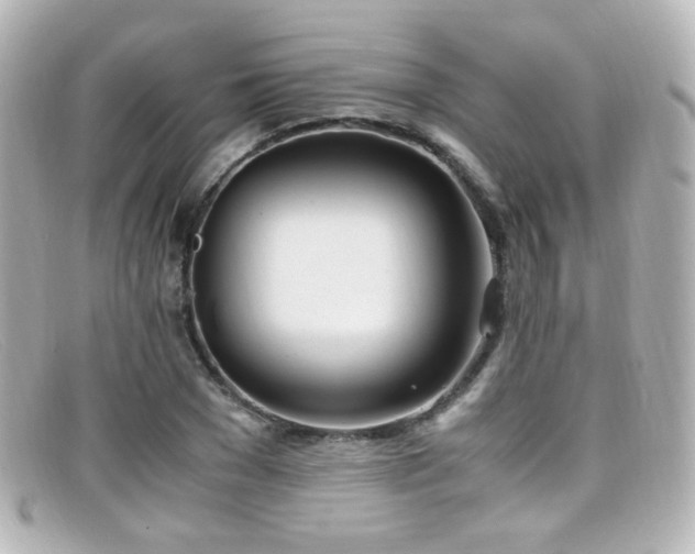X0000099400977200805081530