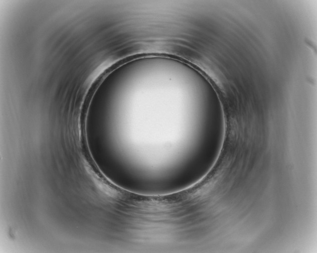 X0000099400980200805081530