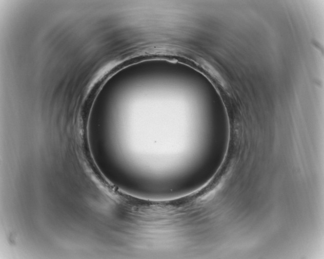 X0000099400981200805081530