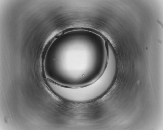 X0000099400982200805081530