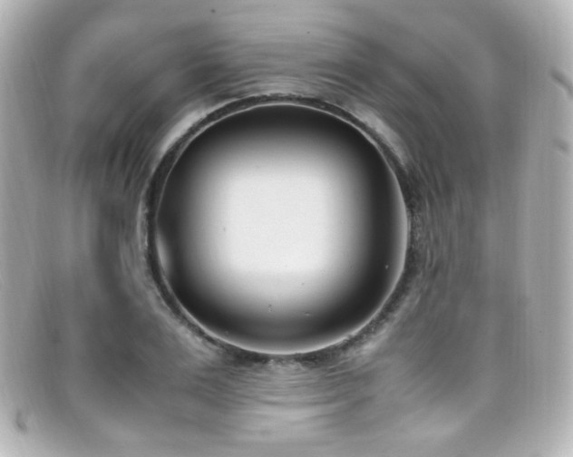 X0000099400983200805081530