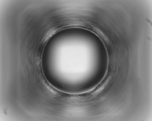 X0000099400985200805081530