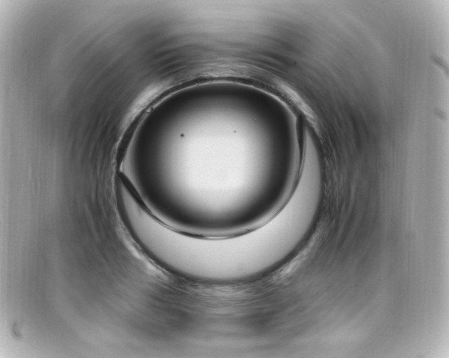 X0000099400986200805081530