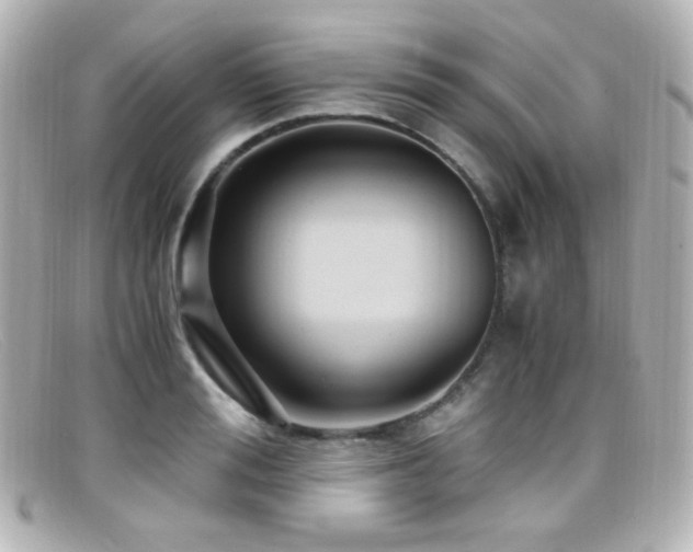 X0000099400988200805081530