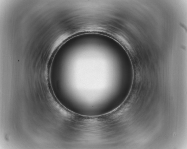 X0000099400990200805081530