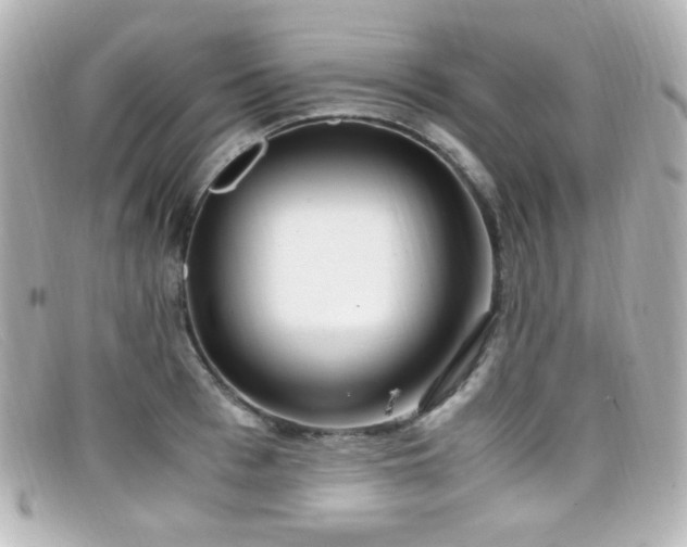 X0000099400993200805081530