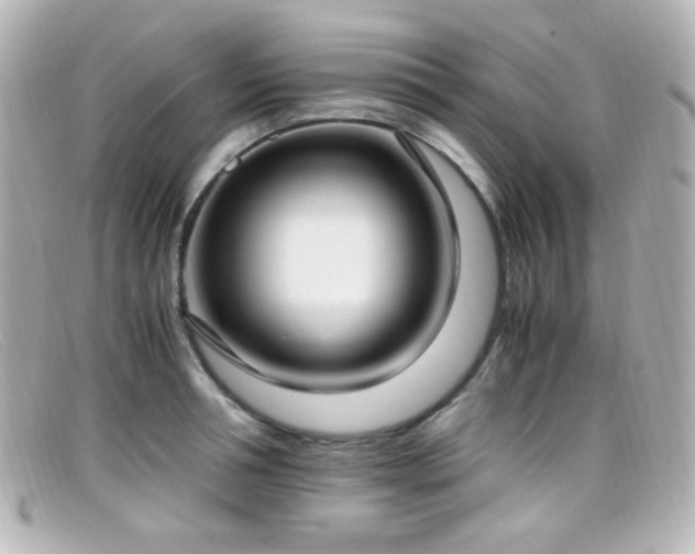 X0000099400994200805081530