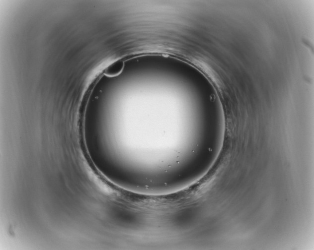 X0000099400995200805081530