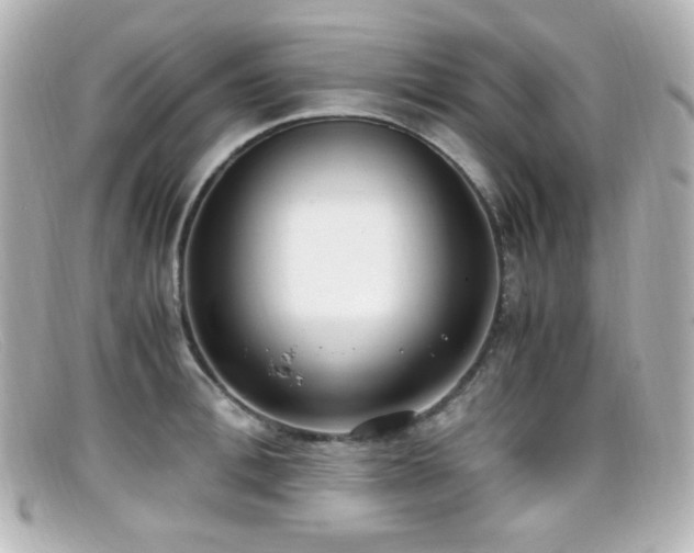 X0000099400996200805081530