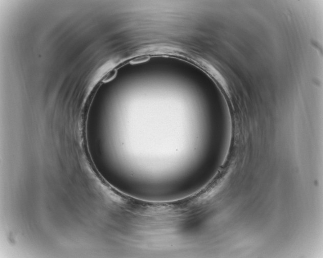 X0000099400997200805081530