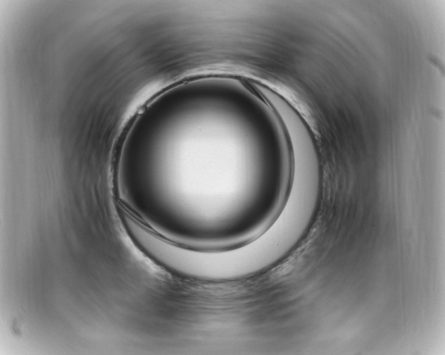 X0000099400998200805081530