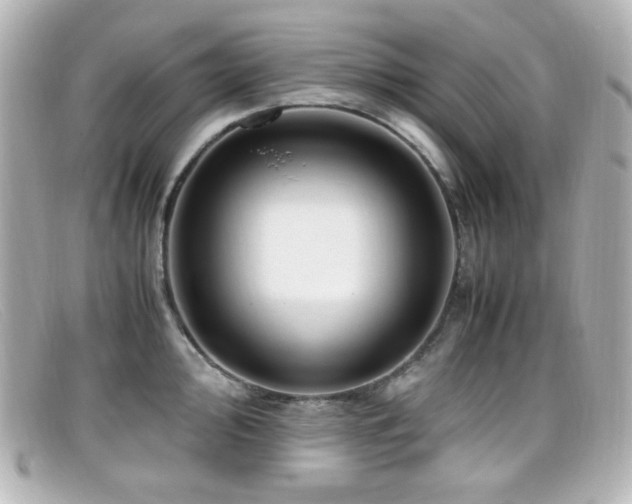 X0000099401000200805081530