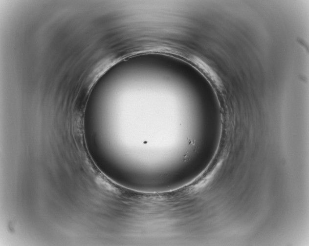 X0000099401001200805081530