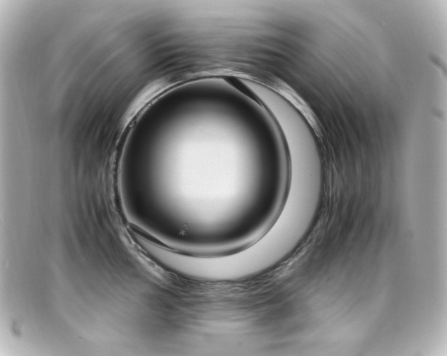 X0000099401002200805081530