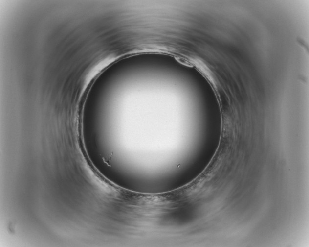 X0000099401003200805081530