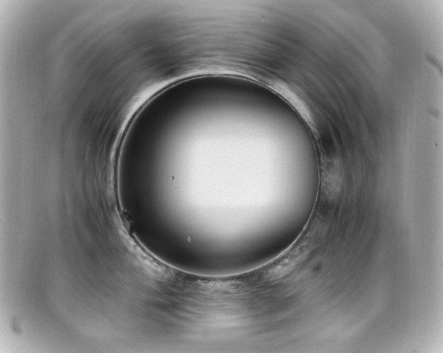 X0000099401004200805081530