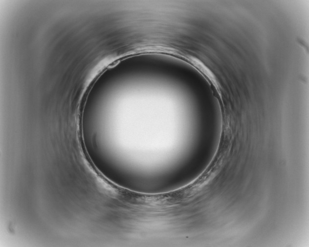 X0000099401005200805081530