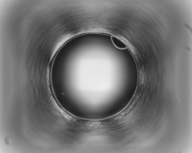 X0000099401006200805081530