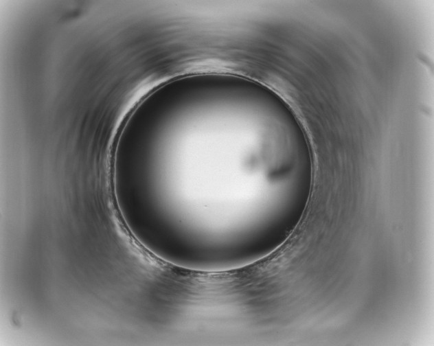 X0000099401008200805081530