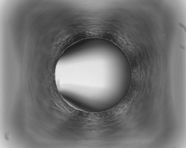 X0000099401009200805081529