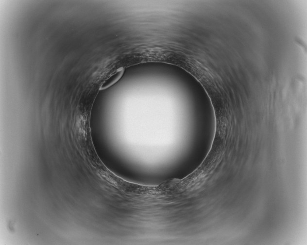 X0000099401010200805081529