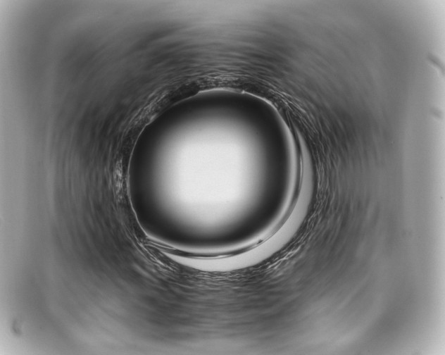 X0000099401011200805081529