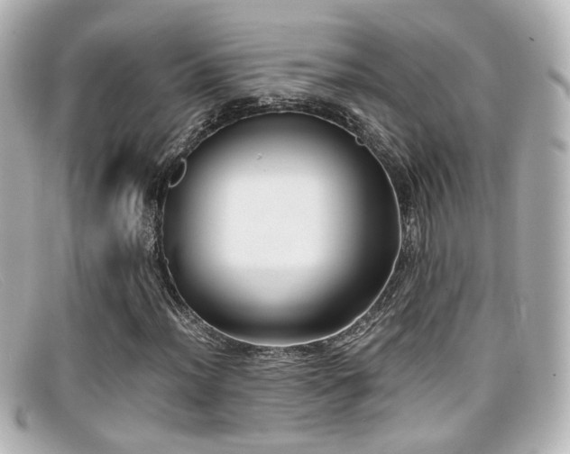 X0000099401012200805081529
