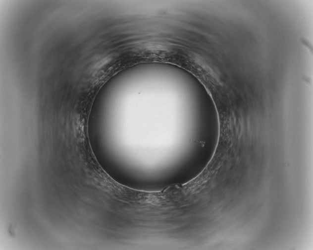 X0000099401013200805081529
