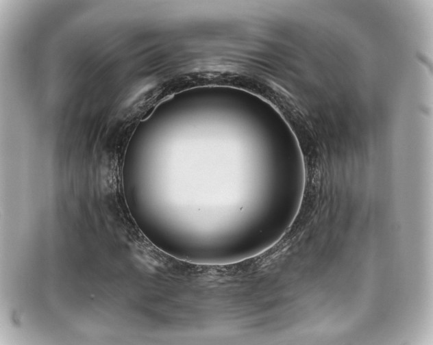 X0000099401014200805081529