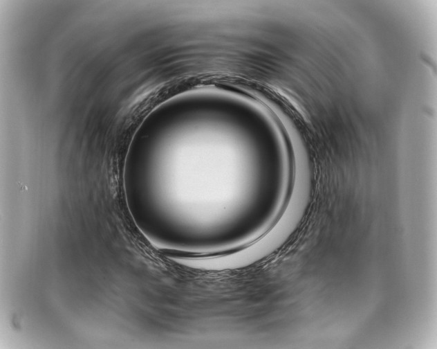 X0000099401015200805081529