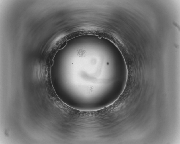 X0000099401016200805081529